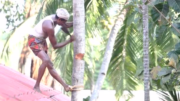 Индийский человек стоит на крыше дома и срубит пальму — стоковое видео