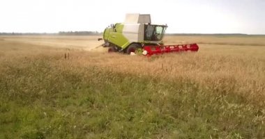 havadan görünümü hasat rulo buğday keserek döner