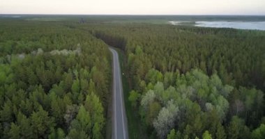 kuş gözü görünümü boreal iğne yapraklı orman huş noktalar yol