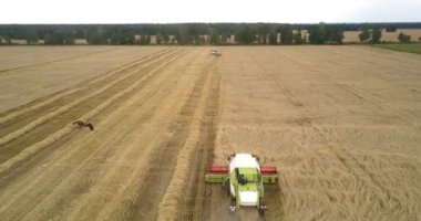 kırpma makinesi keserek yukarıda panoramik kuş uçar