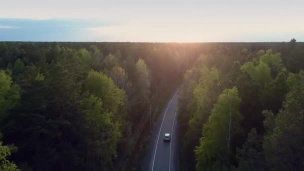 Panorama auto rijdt via dennenbos en laat zonsondergang — Stockvideo