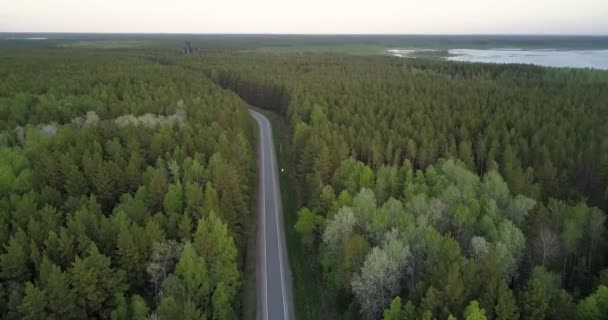 С высоты птичьего полета бореальный хвойный лес с березовыми пятнами дороги — стоковое видео
