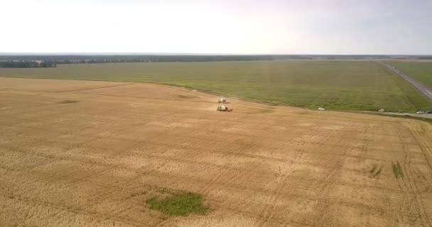 С высоты птичьего полета машины проезжают мимо полей, заполненных спелой пшеницей — стоковое видео