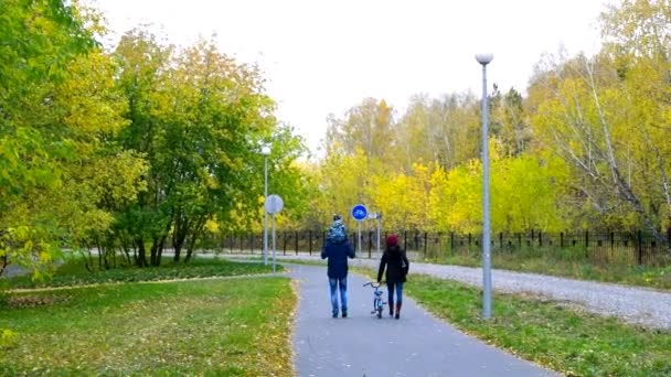 Aile var Sarı huş park boyunca yürüyüş dinlenme izlemek — Stok video