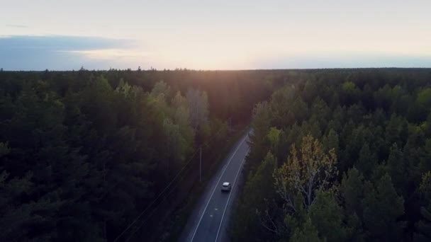 El coche aéreo conduce a través del bosque oscuro del pino al atardecer tardío — Vídeos de Stock