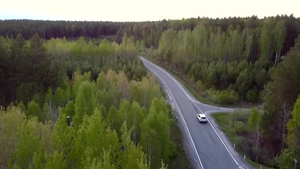 Vista superior longa estrada atravessando vasta floresta de pinheiros — Vídeo de Stock