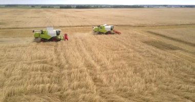 Buğday kırsalında panoramik makineleri kesti