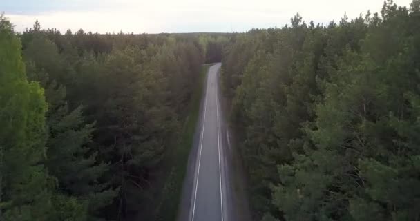Prázdná dálnice táhne lesem přejde do vzdálenosti — Stock video