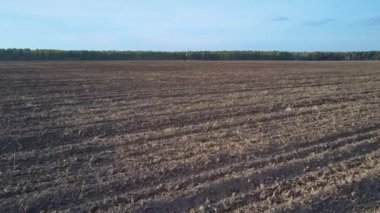 hasat ve sürülmüş alan orman karşı nadas yatıyor