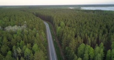 FlyCAM yol araba herdem yeşil orman arasında yakın aşağı gider