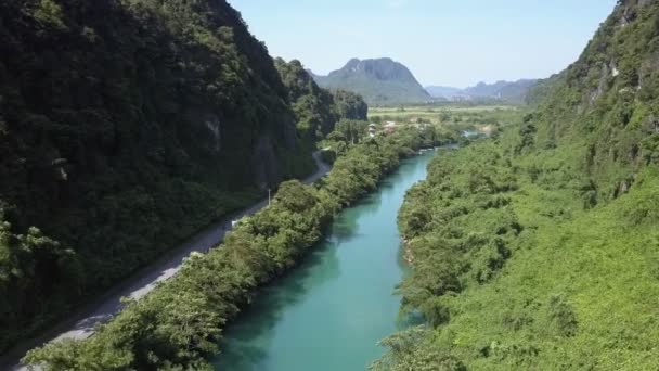 Viento de vuelo cercano sacude árboles entre el río y la carretera — Vídeo de stock