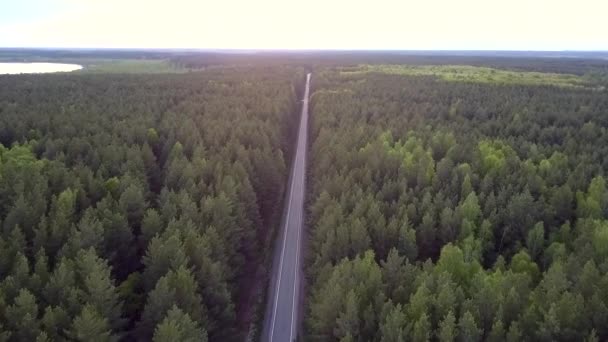 Птичий взгляд длинная прямая дорога пересекает сосновый лес — стоковое видео