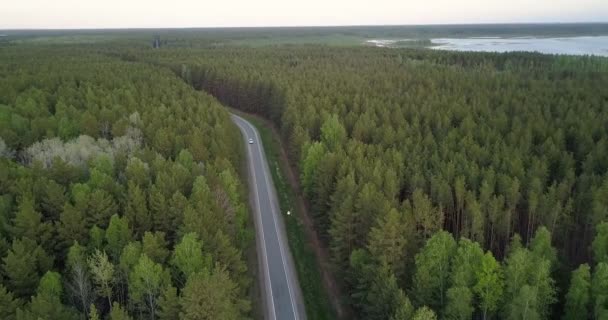 FlyCam daalt naar road dicht bij de auto onder de altijdgroene bos — Stockvideo