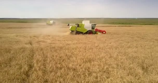 Vista lateral superior colheita combinar cortes trigo maduro — Vídeo de Stock