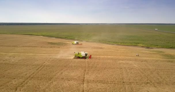 Vista panorámica de los agricultores en el campo y cosechadoras cortar cultivos — Vídeos de Stock