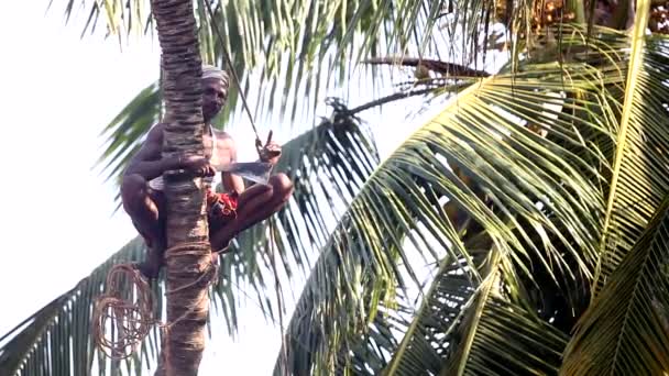Hombre se sienta en el tronco de la palmera en palo especial y habla — Vídeos de Stock
