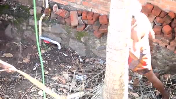 Місцеві робітники ходять по двору з пальмою і козою — стокове відео