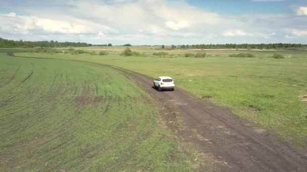 空撮車のフィールド間で蛇行道ドライブします。 — ストック動画