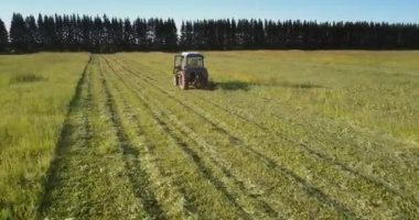 yüksek ağaçları karşı yeşil çim biçme makinesi keser