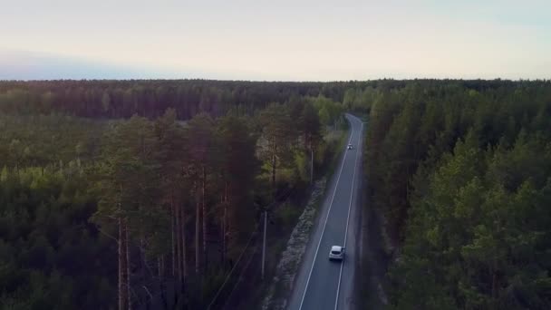 Letecký pohled na prázdné cestě a řidičské auto mezi jehličnatý les — Stock video