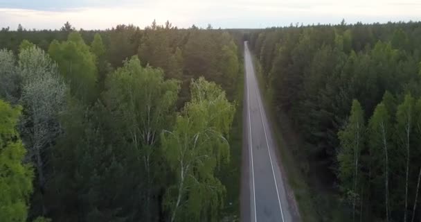 flycam suit la voiture le long de la route dans la forêt de conifères 
