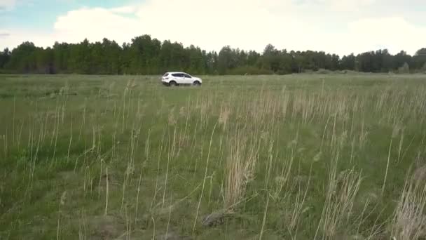 Grama de penas no campo contra carro de condução e floresta — Vídeo de Stock