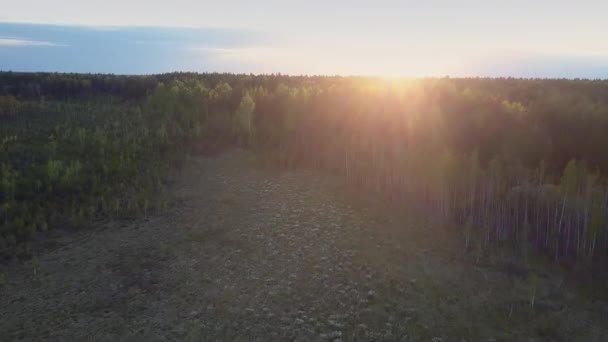 Luz solar dourada sobre o horizonte e grande clareira florestal para baixo — Vídeo de Stock