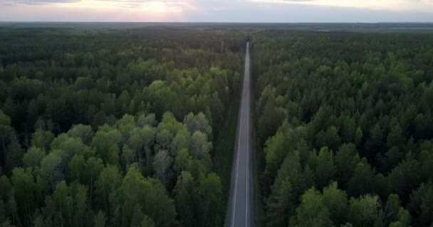 Vista aerea tagli stradali dritti attraverso fitta foresta al crepuscolo — Video Stock