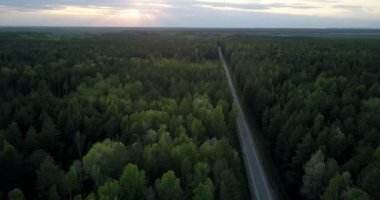 kuş gözü görünümü sınırsız yaprak dökmeyen ağaç ve modern yol