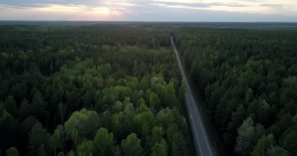 Вид на бескрайнюю вечнозеленую древесину и современную дорогу — стоковое видео