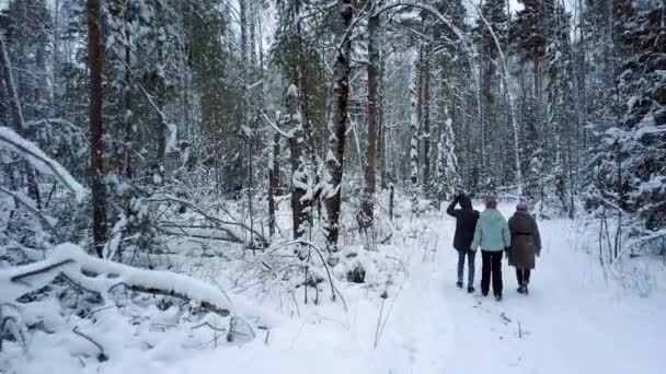 Мужчинам и женщинам весело гулять по густым лесам — стоковое видео