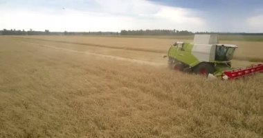 Altın buğday alanında çalışma hasat yukarıda hava hareket