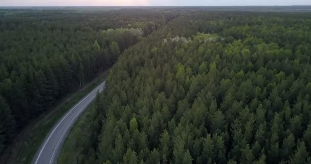Бесконечный темный хвойный лесной ландшафт с дорогой в сумерках — стоковое видео
