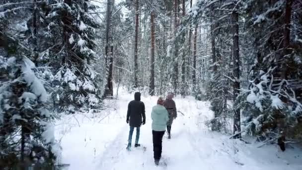 Amigos pasan tiempo libre caminando por el parque de invierno — Vídeos de Stock
