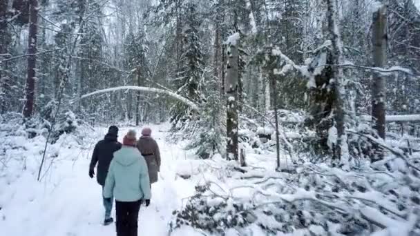 La gente cammina lungo il parco con rami di albero abbassati — Video Stock