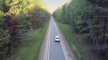 Eski çamlar arasında yol boyunca hava görünümünü beyaz otomatik sürücüler