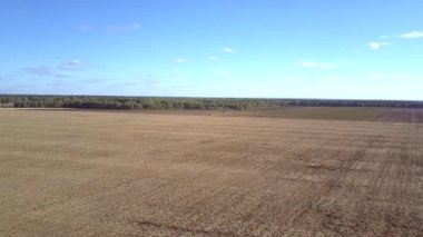 Hava panorama sonsuz kırsal alan orman mavi gökyüzü altında tarafından