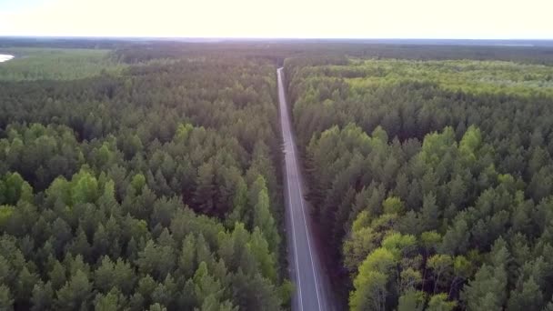 Ruch powyżej lesie sosnowym szczyty wzdłuż prostej drodze z samochodami — Wideo stockowe