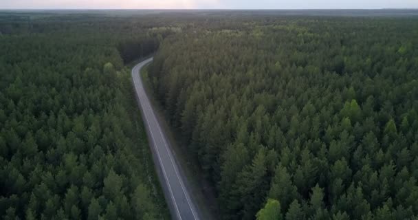 Безграничный лесной ландшафт с асфальтовой дорогой в сумерках — стоковое видео