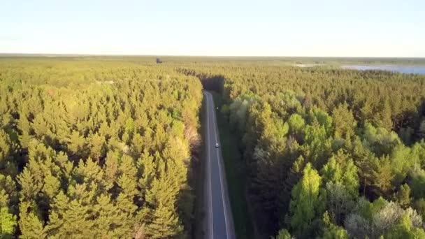 Luchtfoto snelweg met auto rijden onder hoge dennenbos — Stockvideo