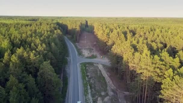 Ptačí pohled kácet oblast v borovém lese křižuje silnici — Stock video