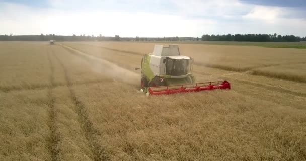FlyCAM gösterir bırakarak toz tahıl sap içinde alarak birleştirmek — Stok video
