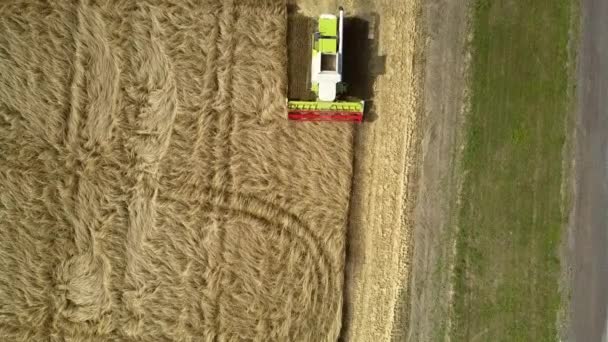 Vista superior blanco y verde combinar recoge cosecha de trigo — Vídeo de stock