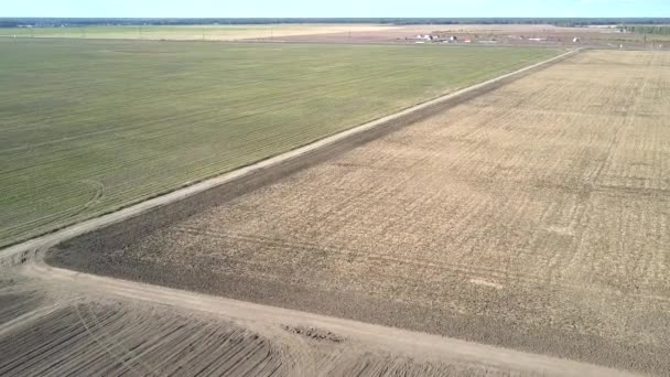 Vuelo del ojo de pájaro sobre la carretera entre campos cosechados y verdes — Vídeos de Stock