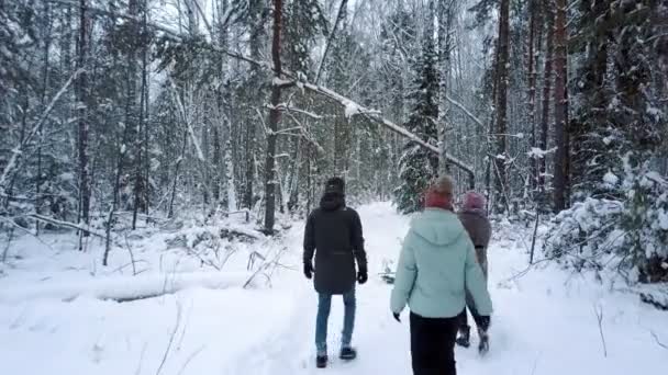 Друзья проводят выходные гуляя по зимнему лесу — стоковое видео