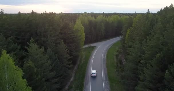 Horní pohled auto na dálnici klikatící se mezi jehličnatého lesa — Stock video