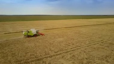 hasat alanında saman rulo yapma ağır buğday kırpma reaps