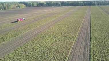 orman tarafından kesilmemiş patates hasat alanıyla üzerinde casus uçak yükselir