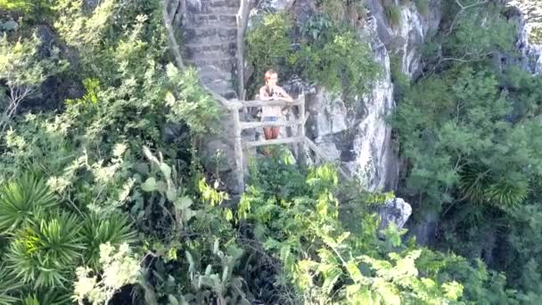 Bird eye view girl stands on ground among waving leaves — Stock Video