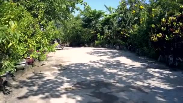 Camera follows wide stone track past buddha statue — Stock Video